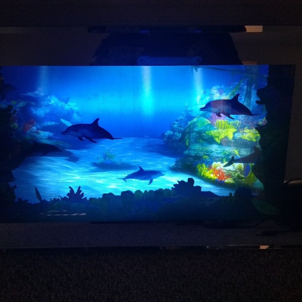 This is a moving fish aquarium Tank picture.